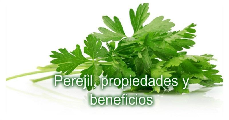Perejil, propiedades y beneficios