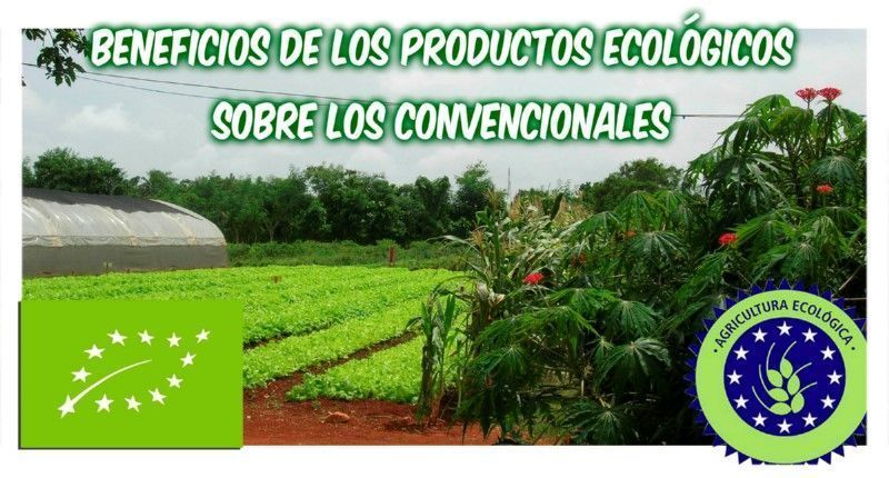 Ecologico_portada _01