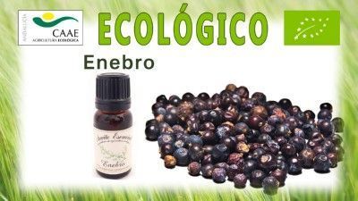 aceite_esencial_ enebro