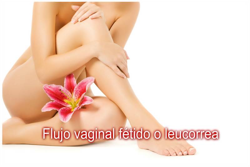 Portada_Leucorrea_red