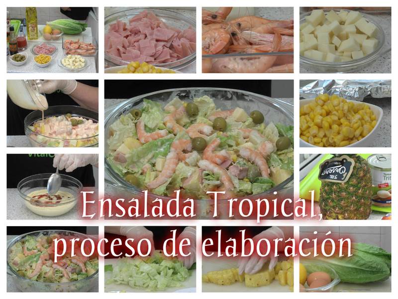 Collage_Ensalda_Proceso (Copiar)