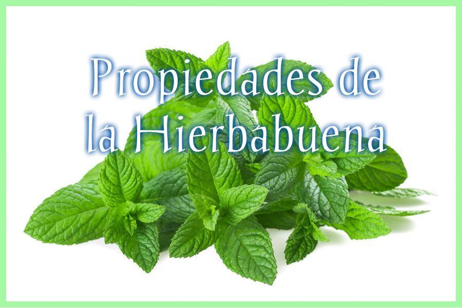 Portada_Hierbabuena_OK
