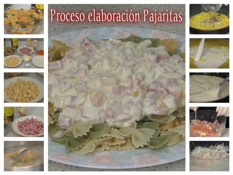 Collage_pajaritas (Copiar)