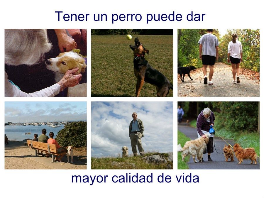 Collage_1 (Copiar)